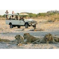 Chobe National Park Camping Safari 2-Days 1 night