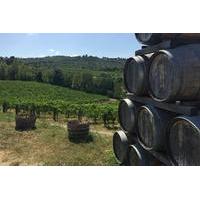 Chianti Classico Tour with Lunch from Lucca