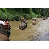 chiang dao elephant jungle trek and ping river rafting tour from chian ...