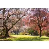 Christchurch Half-Day Gardens Tour