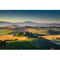 Chianti Wine and Aperitivo Small Group Tour from Lucca