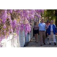 Charleston Strolls Tour