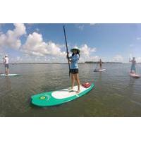 Charleston Paddleboard Rentals