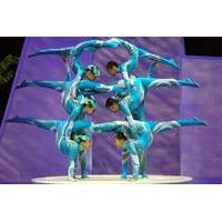 Chinese Acrobats and Shanghai Evening Tour