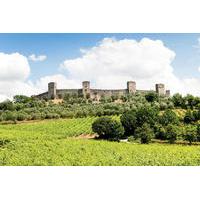 Chianti and Siena Half Day Tour with Dinner