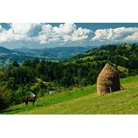 Chauffeur Service in Bucharest