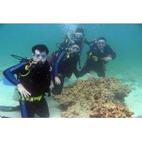 Cham Island Full Day Trip with Scuba Diving