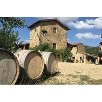 Chianti Classico Private Tour by Minivan from Montecatini with Lunch