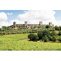 Chianti and Castle Tour