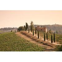 chianti half day trip with traditional tuscan dinner and wine pairing  ...