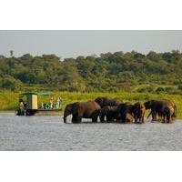 Chobe National Park 4X4 Day Safari and River Cruise