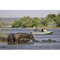 Chobe Extended Day Trip from Victoria Falls