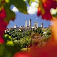 Chianti Classic Walk
