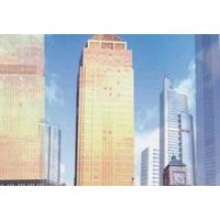 CHINA MAYORS PLAZA