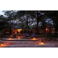 Changa Safari Camp