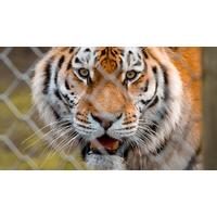 Chester Zoo, Cheshire: Overnight Family Stay With Zoo Entry - Summer Dates!