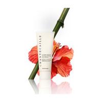 chantecaille hibiscus and bamboo exfoliating cream 75ml