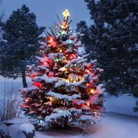 Christmas Eve Scented Oil 10 ml ...