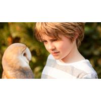 Children\'s Falconry Fun Day