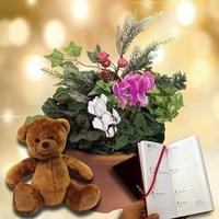 christmas mix winter 2 pre planted containers with teddy bear plus dia ...