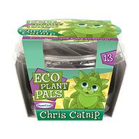 Chris Catnip Eco Plant Pal