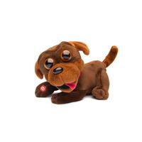 Chocolate Chops Barking & Waggin...