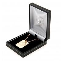 chelsea gold plated dog tag and chain