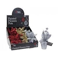 Christmas Flowers In Ceramic Pots 3 Assorted Colours