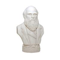 Charles Darwin Bust