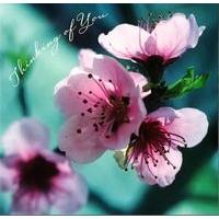 Cherry blossom blank card