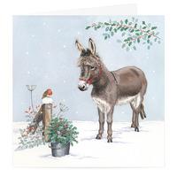 Christmas Donkey Cards