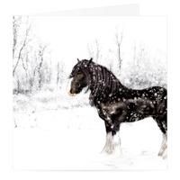 Christmas Shire Card