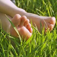 Chiropody