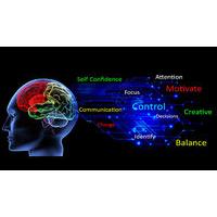 Choice of 2 Neuro Linguistic Programming Online Courses