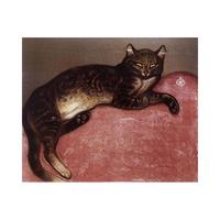 chat allonge lounging cat by theophile steinlen