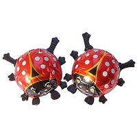 Chocolate ladybirds - Bag of 10