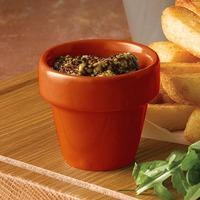 churchill bit on the side plant pot food server paprika orange 2oz 60m ...