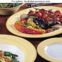 churchill sahara classic plates 269mm pack of 12