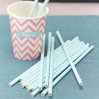 Chevron Divine Mint Party Straws