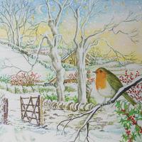 Children\'s Hospice Christmas Robin