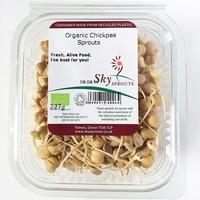 Chickpea Sprouts (100g)