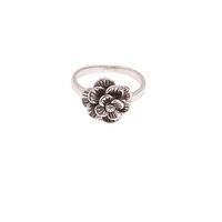 Chi Chi Hatti Ring