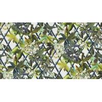Christian Lacroix Wallpapers Canopy, PCL661/07