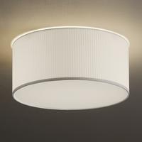 Chelsom Snap Ceiling Light SN-27-300