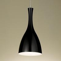 Chelsom Dine Ceiling Light DN-20-BL