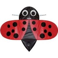 Childrens Single Line Buzzer LadyBug Kite