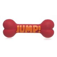 Chewy Dog Toy Assorted