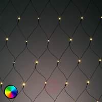 Changeable luminous colour - LED net light, 3m