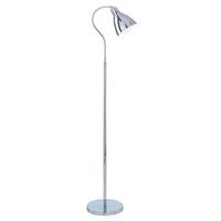 Chrome Adjustable Metal Head Floor Lamp