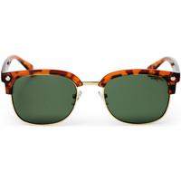 cheapo rumi sunglasses turtle brown mens sunglasses in brown